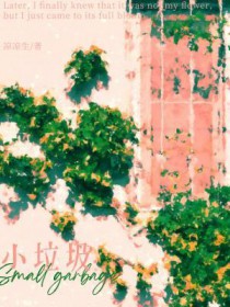 小垃圾